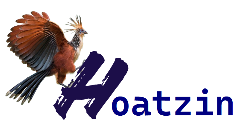 Hoatzin